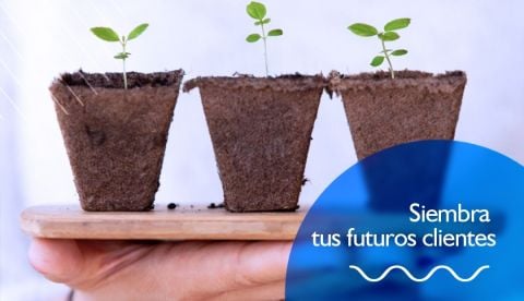 ¿Qué es lead nurturing?