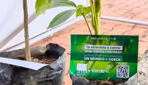 Asul+Verde en la MMC: Una Alianza por la Sostenibilidad y el Bienestar