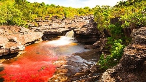 Los 5 colores de Caño Cristales 