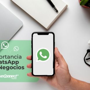 WhatsApp Business: Aprovecha todas sus ventajas para potenciar tu negocio