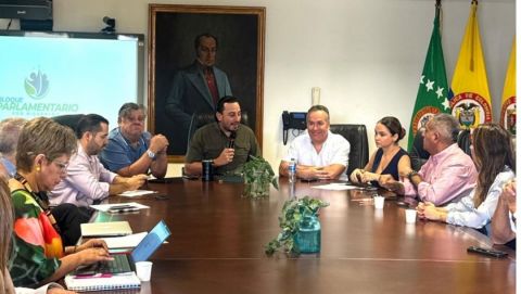 Alcalde de Pereira presentó proyecto de modernización del Alumbrado Público ante bloque parlamentario