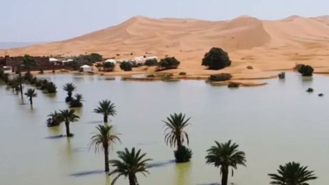 Las impresionantes imágenes de un lago en el desierto del Sahara