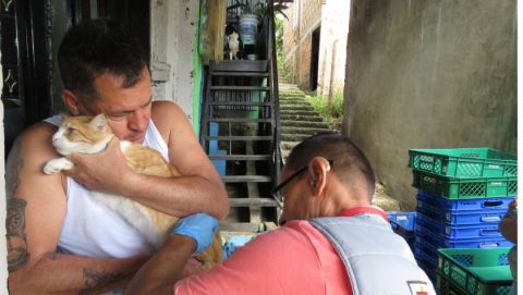 Puerta a puerta la Secretaría de Salud de Pereira, vacunó a perros y gatos en Villasantana 