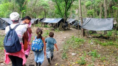 Grave situación en Antioquia y Bolívar por masivos desplazamientos y violencia creciente